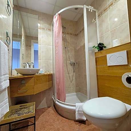 Double Room with Terrace