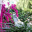 Happy Hotel Kalkan