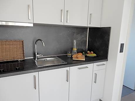 Boardinghouse Erdgeschoss mit Terrasse und Parkblick