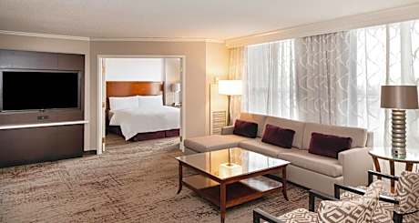 Luxury One-Bedroom King Suite with Sofa Bed