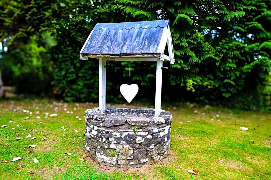 Ty Newydd Country Hotel