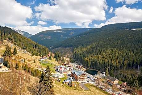 Special Offer - Superior Double Room with Wellness Package