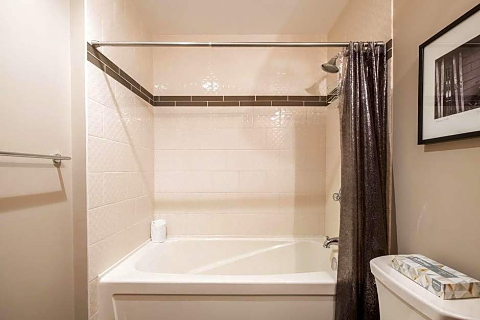 Treeline by Outpost Whistler