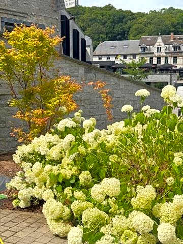 Hôtel WELLNESS EAU DE ROCHE Durbuy