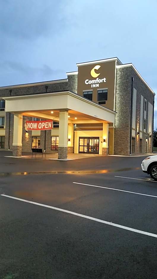 Comfort Inn White House