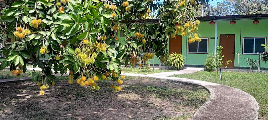 Tony's Guesthouse