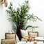 Rooms by JovA