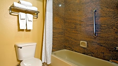 Accessible - 1 King, Mobility Accessible, Communication Assistance, Roll In Shower, Non-Smoking, Ful