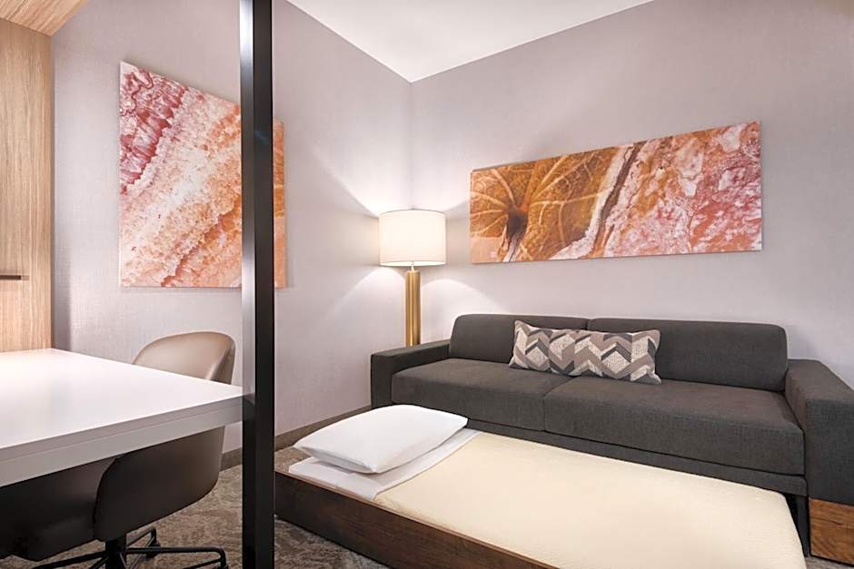 SpringHill Suites By Marriott Tifton