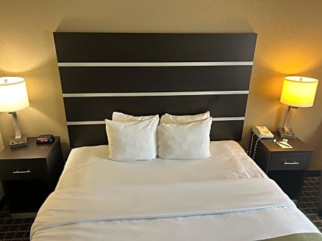 1 King Bed, Suite, Nonsmoking