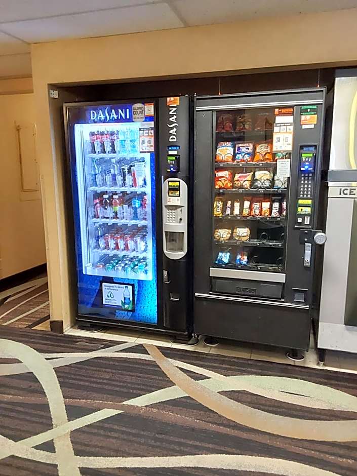 Lavissh Inn and Suites