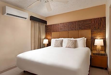 Standard One-Bedroom Apartment
