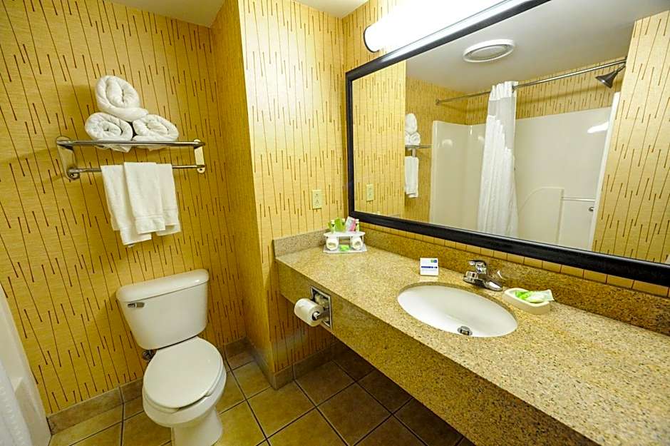 Holiday Inn Express & Suites Bowling Green by IHG