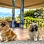 Puerto de Luna Pet Friendly and Family Suites