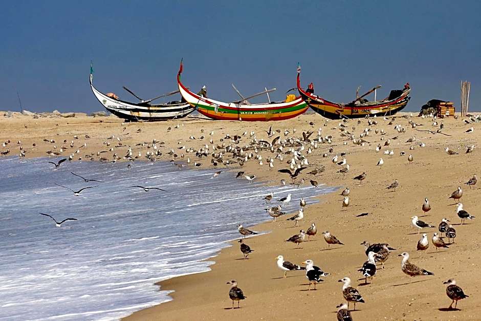 Hotel Apartamento Solverde