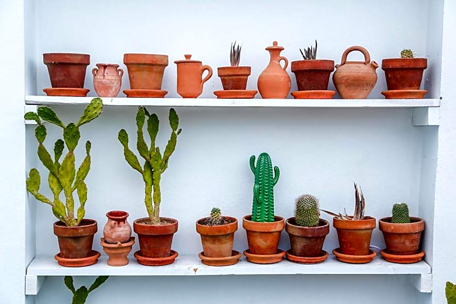 Riad Dada Mouss & Suites