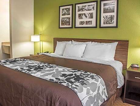 1 King Bed, Suite, Nonsmoking
