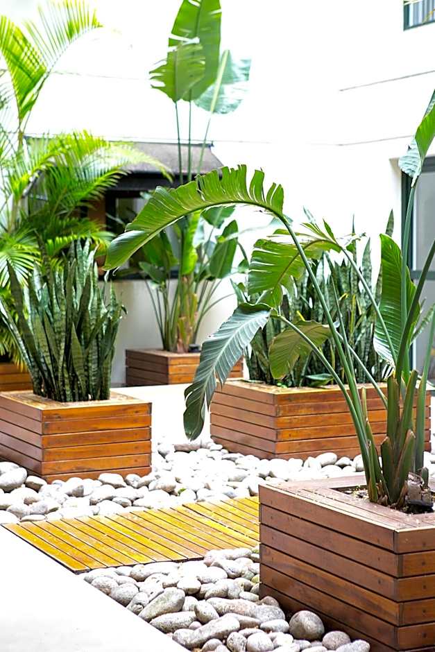 Nuss Buenos Aires Soho