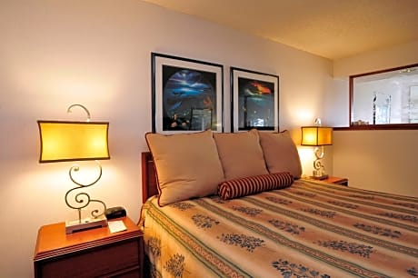 Junior Suite, 1 King Bed, Ocean View