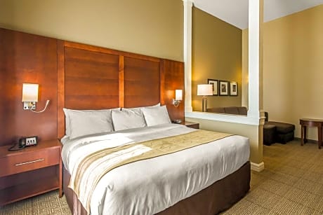 1 King Bed, Suite, Nonsmoking