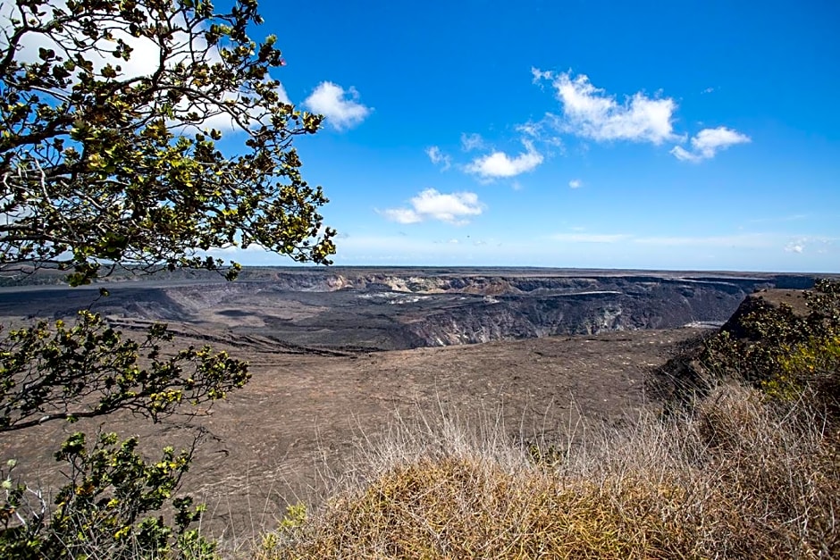 Arnott's Lodge & Hiking Adventures