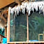 Bali Bamboo Jungle Huts And Hostel.