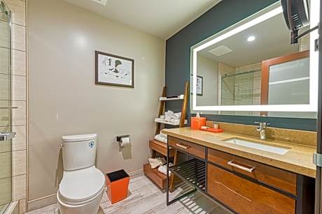 Premier King Room with Terrace