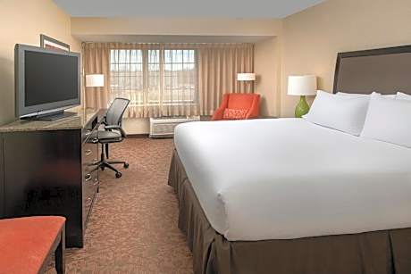1 King Bed-Nonsmoking