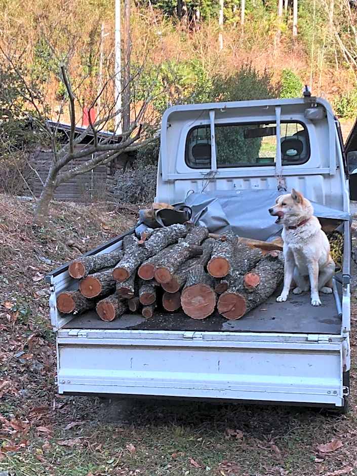 リラシャンティRelashanti