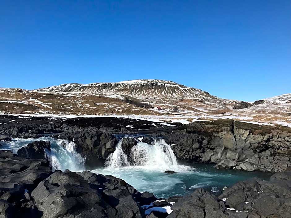 Dalshöfdi Guesthouse