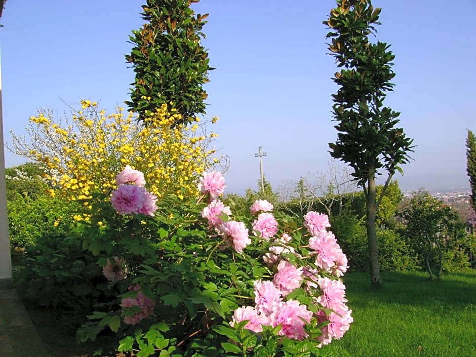 La Paloma B&B di Charme