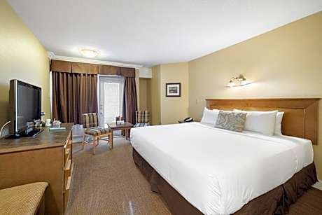 Standard Room 1 King (ISTK)
