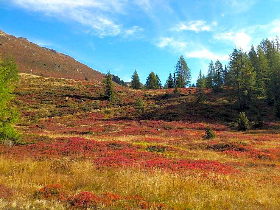 Hotel Sunshine Superior "ADULTS ONLY" Ischgl - Kappl