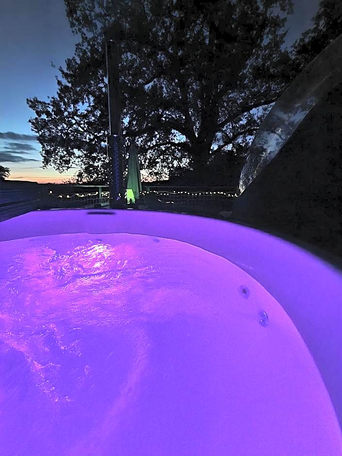 les bulles perchées de lartigue