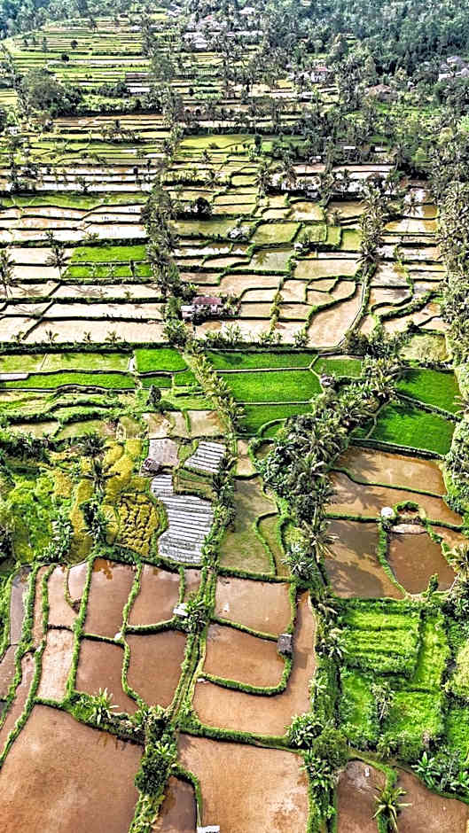 The Alam Bungalow & Restaurant