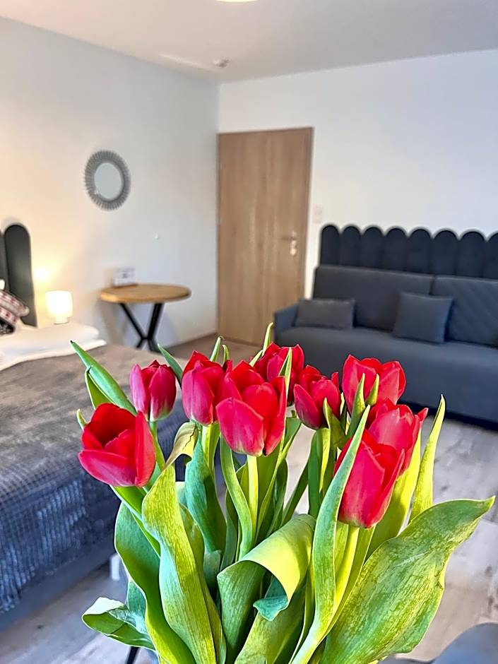 Karkonoskie Widoki Apartamenty