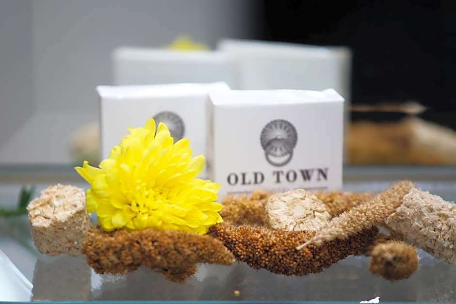 Old Town Hotel