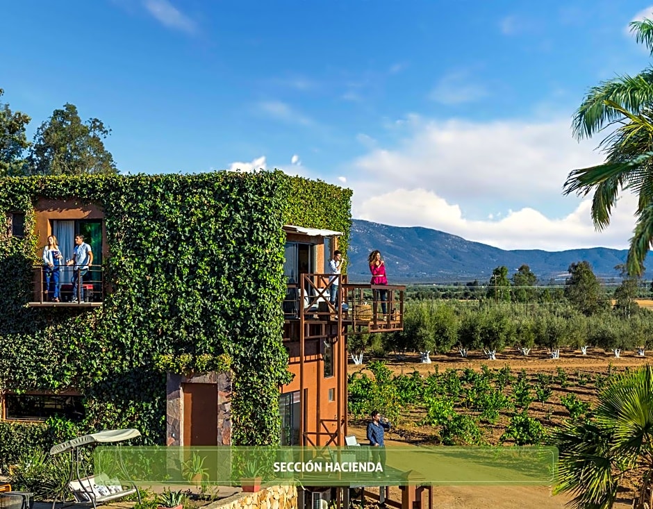 Hotel Boutique Valle de Guadalupe