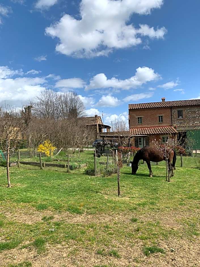 Borgo Montefreddo Toscana