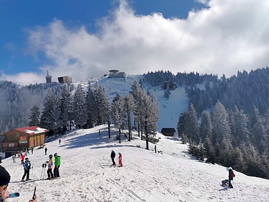 Alpin Aparthotel Ap 508 Poiana Brasov- acces la piscină gratuit