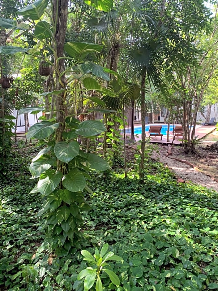 Ecovergel Hotel Riviera Maya