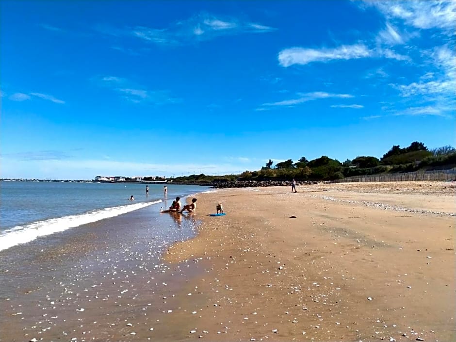 Merlettes des Sables
