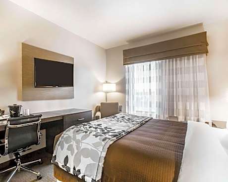 Queen Room with Two Queen Beds and Sofabed - Non-Smoking