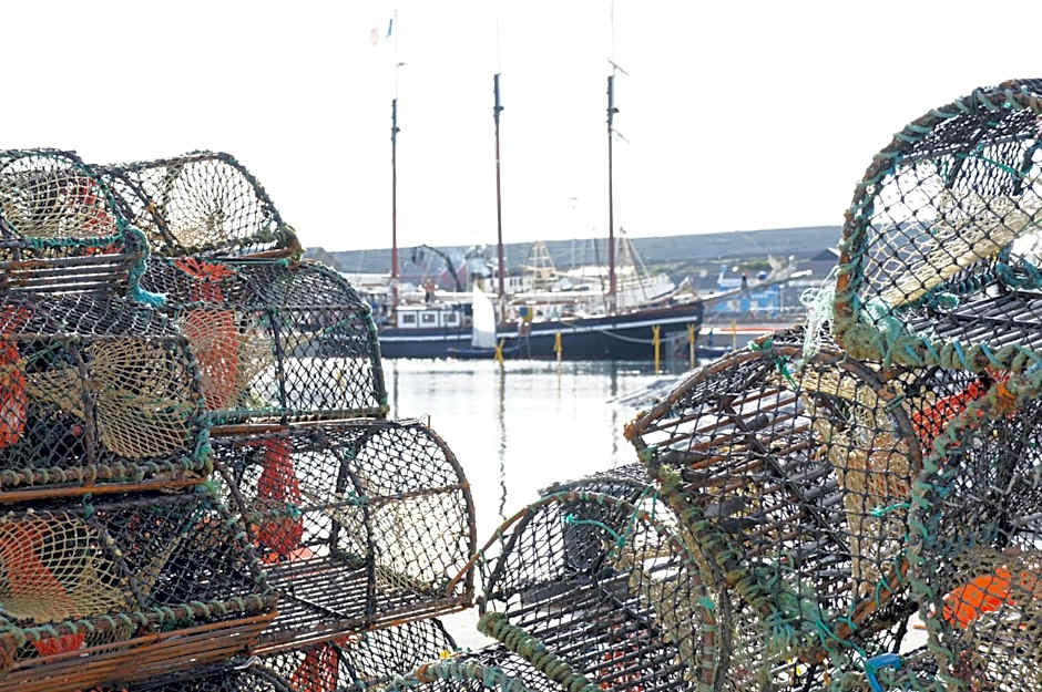 Aran Islands Camping & Glamping