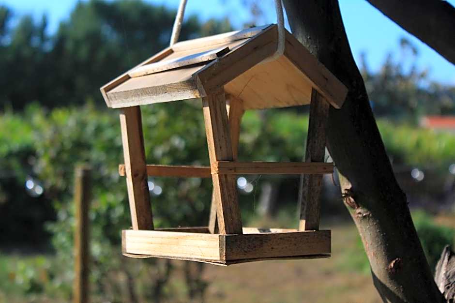 Casa da Avó Miquinhas