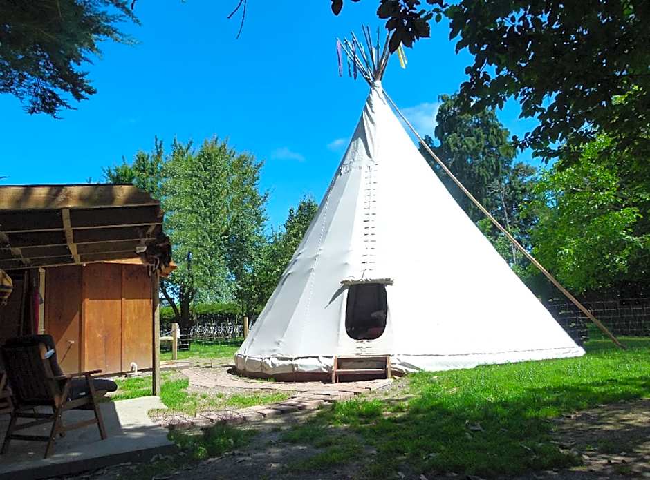 Wacky Stays - unique farm-stay glamping rentals, FREE animal feeding tours