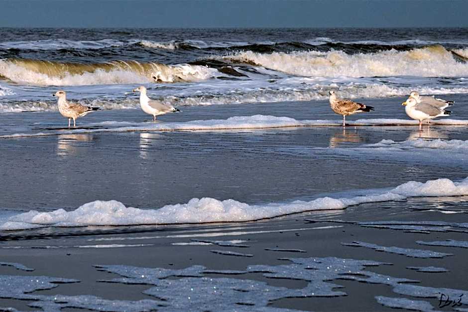 Strandhotel de Vassy