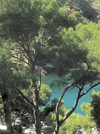 Les terrasses des Anthenors