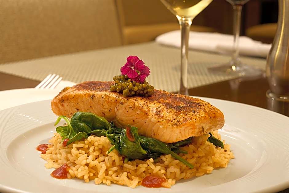 Hilton Washington DC Rockville Executive Meeting Center