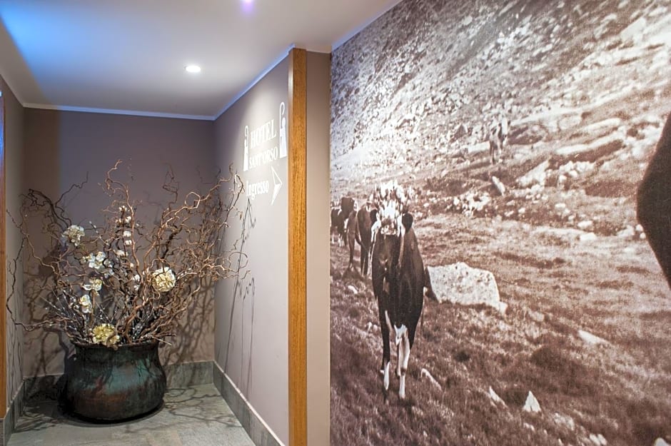Hotel Sant'Orso - Mountain Lodge & Spa